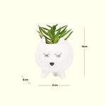 Load image into Gallery viewer, Sleepy Cat Ceramic Planter - Home Decor | Artificial Garden | Ceramic Planter | Cat Planter