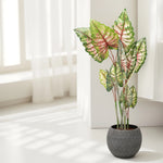 Load image into Gallery viewer, Lush Life Artificial Plant - Artificial Plant | Indoor Plant|Decorative Plant|Artificial Greenery|Low-Maintenance Plants|Green DecoR|Nature-Inspired Decor | Artificial Plants Room Decor | Tropical Fake Plant in Pot"