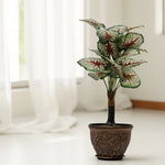 Load image into Gallery viewer, Vibrant Variegated Artificial Plant - Artificial Plant|Indoor Plant|Decorative Plant|Artificial Greenery|Low-Maintenance Plants|Green DecoR|Nature-Inspired Decor | Artificial Plants Room Decor | Tropical Fake Plant in Pot