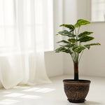 Load image into Gallery viewer, Variegated Delight Artificial Plant - Artificial Plant|Indoor Plant|Decorative Plant|Artificial Greenery|Low-Maintenance Plants|Green DecoR|Nature-Inspired Decor | Artificial Plants Room Decor | Tropical Fake Plant in Pot
