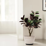 Load image into Gallery viewer, Bold Fiddle Artificial Plant - Artificial Plant | Indoor Plant|Decorative Plant|Artificial Greenery|Low-Maintenance Plants|Green DecoR|Nature-Inspired Decor | Artificial Plants Room Decor | Tropical Fake Plant in Pot
