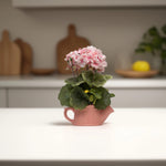 Load image into Gallery viewer, Geranium teapots(Peach) - Flowers For Decor | Peach Flowers Decor | Shelves Decor