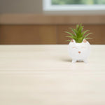 Load image into Gallery viewer, Cute Cat Ceramic Planter - Home Decor | Artificial Garden | Ceramic Planter | Cat Planter