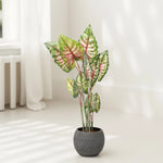 Load image into Gallery viewer, Lush Life Artificial Plant - Artificial Plant | Indoor Plant|Decorative Plant|Artificial Greenery|Low-Maintenance Plants|Green DecoR|Nature-Inspired Decor | Artificial Plants Room Decor | Tropical Fake Plant in Pot"