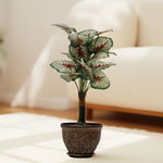 Load image into Gallery viewer, Vibrant Variegated Artificial Plant - Artificial Plant|Indoor Plant|Decorative Plant|Artificial Greenery|Low-Maintenance Plants|Green DecoR|Nature-Inspired Decor | Artificial Plants Room Decor | Tropical Fake Plant in Pot