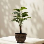 Load image into Gallery viewer, Variegated Delight Artificial Plant - Artificial Plant|Indoor Plant|Decorative Plant|Artificial Greenery|Low-Maintenance Plants|Green DecoR|Nature-Inspired Decor | Artificial Plants Room Decor | Tropical Fake Plant in Pot