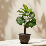 Load image into Gallery viewer, Variegated Beauty Artificial Plant -Artificial Plant|Indoor Plant|Decorative Plant|Artificial Greenery|Low-Maintenance Plants|Green DecoR|Nature-Inspired Decor | Artificial Plants Room Decor | Tropical Fake Plant in Pot