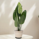 Load image into Gallery viewer, Lush Leaf Artificial Plant - Artificial Plant | Indoor Plant|Decorative Plant|Artificial Greenery|Low-Maintenance Plants|Green DecoR|Nature-Inspired Decor | Artificial Plants Room Decor | Tropical Fake Plant in Pot