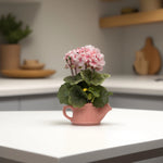 Load image into Gallery viewer, Geranium teapots(Peach) - Flowers For Decor | Peach Flowers Decor | Shelves Decor