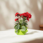 Load image into Gallery viewer, Geranium Teapots(Green) - Flowers For Decor | Green Flowers Decor | Shelves Decor