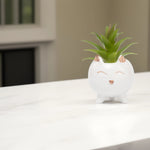 Load image into Gallery viewer, Cute Cat Ceramic Planter - Home Decor | Artificial Garden | Ceramic Planter | Cat Planter
