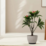 Load image into Gallery viewer, Compact Green and Red Artificial Plant Artificial Tree | Home Decor | Plants and Flowers