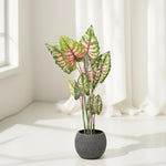 Load image into Gallery viewer, Lush Life Artificial Plant - Artificial Plant | Indoor Plant|Decorative Plant|Artificial Greenery|Low-Maintenance Plants|Green DecoR|Nature-Inspired Decor | Artificial Plants Room Decor | Tropical Fake Plant in Pot"