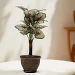 Load image into Gallery viewer, Vibrant Variegated Artificial Plant - Artificial Plant|Indoor Plant|Decorative Plant|Artificial Greenery|Low-Maintenance Plants|Green DecoR|Nature-Inspired Decor | Artificial Plants Room Decor | Tropical Fake Plant in Pot