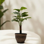 Load image into Gallery viewer, Variegated Delight Artificial Plant - Artificial Plant|Indoor Plant|Decorative Plant|Artificial Greenery|Low-Maintenance Plants|Green DecoR|Nature-Inspired Decor | Artificial Plants Room Decor | Tropical Fake Plant in Pot