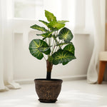 Load image into Gallery viewer, Variegated Beauty Artificial Plant -Artificial Plant|Indoor Plant|Decorative Plant|Artificial Greenery|Low-Maintenance Plants|Green DecoR|Nature-Inspired Decor | Artificial Plants Room Decor | Tropical Fake Plant in Pot