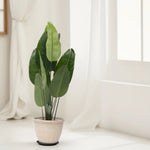 Load image into Gallery viewer, Lush Leaf Artificial Plant - Artificial Plant | Indoor Plant|Decorative Plant|Artificial Greenery|Low-Maintenance Plants|Green DecoR|Nature-Inspired Decor | Artificial Plants Room Decor | Tropical Fake Plant in Pot