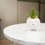 Load image into Gallery viewer, Cute Cat Ceramic Planter - Home Decor | Artificial Garden | Ceramic Planter | Cat Planter