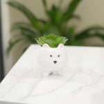 Load image into Gallery viewer, Cute Dog Ceramic Planter - Home Decor | Artificial Garden | Ceramic Vase | Dog Planter