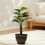 Load image into Gallery viewer, Variegated Delight Artificial Plant - Artificial Plant|Indoor Plant|Decorative Plant|Artificial Greenery|Low-Maintenance Plants|Green DecoR|Nature-Inspired Decor | Artificial Plants Room Decor | Tropical Fake Plant in Pot