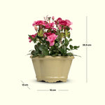 Load image into Gallery viewer, Blooming Beauty(Red) - Flowers For Decor | Red Flowers Decor | Shelves Decor