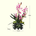 Load image into Gallery viewer, Pink Orchids - Flowers For Decor | Pink Flowers Decor | Shelves Decor