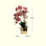 Load image into Gallery viewer, Golden Bloom(Crimson) - Flowers For Decor | Crimson Flowers Decor | Shelves Decor