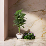 Load image into Gallery viewer, Lush Living Artificial Ficus Tree Artificial Plant|Indoor Plant|Decorative Plant|Artificial Greenery|Low-Maintenance Plants|Green DecoR|Nature-Inspired Decor | Artificial Plants Room Decor | Tropical Fake Plant in Pot