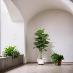 Load image into Gallery viewer, Lush Living Artificial Ficus Tree Artificial Plant|Indoor Plant|Decorative Plant|Artificial Greenery|Low-Maintenance Plants|Green DecoR|Nature-Inspired Decor | Artificial Plants Room Decor | Tropical Fake Plant in Pot
