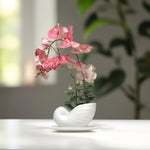 Load image into Gallery viewer, Seashell Orchids(Peach) - Flowers For Decor | Peach Flowers Decor | Shelves Decor