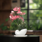 Load image into Gallery viewer, Seashell Orchids(Peach) - Flowers For Decor | Peach Flowers Decor | Shelves Decor