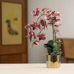 Load image into Gallery viewer, Golden Bloom(Crimson) - Flowers For Decor | Crimson Flowers Decor | Shelves Decor