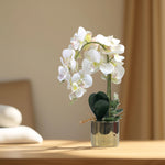 Load image into Gallery viewer, Golden Bloom(Off White) - Flowers For Decor | Off White Flowers Decor | Shelves Decor