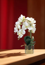 Load image into Gallery viewer, Golden Bloom(Off White) - Flowers For Decor | Off White Flowers Decor | Shelves Decor