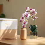 Load image into Gallery viewer, Golden Bloom(Pink) - Flowers For Decor | Pink Flowers Decor | Shelves Decor