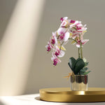 Load image into Gallery viewer, Golden Bloom(Pink) - Flowers For Decor | Pink Flowers Decor | Shelves Decor