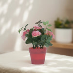 Load image into Gallery viewer, Mini Garden Set - Home Decor | Artificial Garden | Peach Artificial Roses | Artificial Roses | Peach Roses