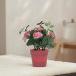 Load image into Gallery viewer, Mini Garden Set - Home Decor | Artificial Garden | Peach Artificial Roses | Artificial Roses | Peach Roses