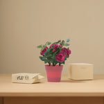 Load image into Gallery viewer, Mini Garden Set - Home Decor | Artificial Garden | Red Artificial Roses | Artificial Roses | Red Roses