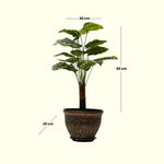 Load image into Gallery viewer, Variegated Delight Artificial Plant - Artificial Plant|Indoor Plant|Decorative Plant|Artificial Greenery|Low-Maintenance Plants|Green DecoR|Nature-Inspired Decor | Artificial Plants Room Decor | Tropical Fake Plant in Pot