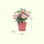 Load image into Gallery viewer, Mini Garden Set - Home Decor | Artificial Garden | Peach Artificial Roses | Artificial Roses | Peach Roses
