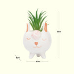 Load image into Gallery viewer, Adorable Sheep Ceramic Planter - Home Decor | Artificial Garden | Ceramic Vase | Sheep Planter
