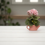 Load image into Gallery viewer, Geranium teapots(Peach) - Flowers For Decor | Peach Flowers Decor | Shelves Decor
