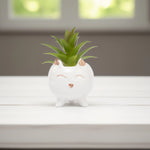 Load image into Gallery viewer, Cute Cat Ceramic Planter - Home Decor | Artificial Garden | Ceramic Planter | Cat Planter
