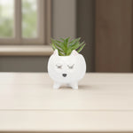 Load image into Gallery viewer, Sleepy Cat Ceramic Planter - Home Decor | Artificial Garden | Ceramic Plater | Cat Planter
