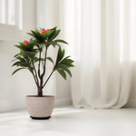Load image into Gallery viewer, Compact Green and Red Artificial Plant  Artificial Tree | Home Decor | Plants and Flowers
