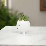 Load image into Gallery viewer, Sleepy Cat Ceramic Planter - Home Decor | Artificial Garden | Ceramic Plater | Cat Planter
