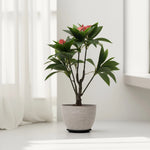 Load image into Gallery viewer, Compact Green and Red Artificial Plant  Artificial Tree | Home Decor | Plants and Flowers
