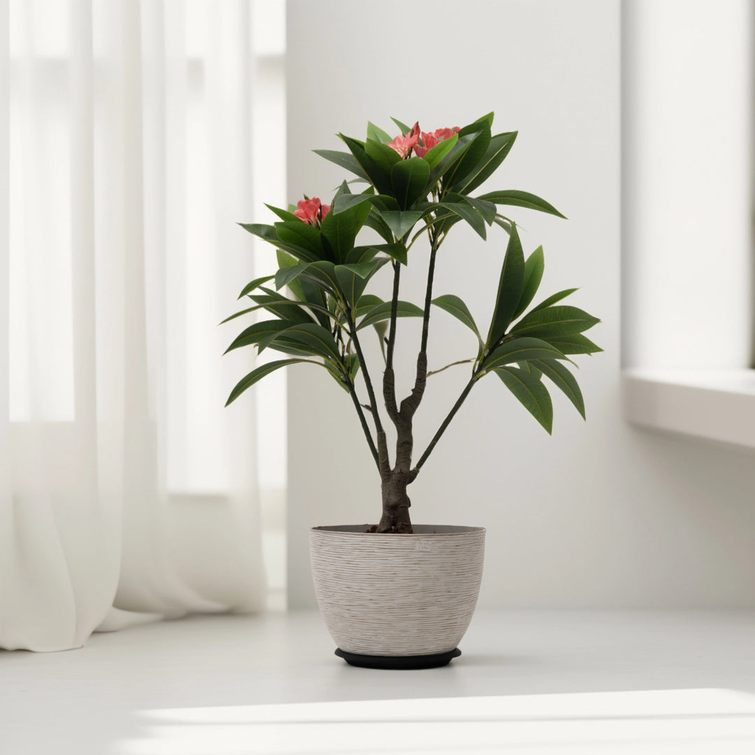 Compact Green and Red Artificial Plant  Artificial Tree | Home Decor | Plants and Flowers