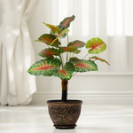 Load image into Gallery viewer, Crimson Crush Artificial Plant - Artificial Plant|Indoor Plant|Decorative Plant|Artificial Greenery|Low-Maintenance Plants|Green DecoR|Nature-Inspired Decor |  Artificial Plants Room Decor | Tropical Fake Plant in Pot
